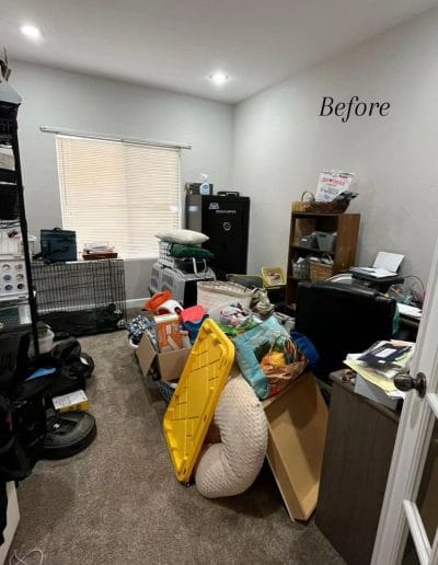 IMG_20241120_105524_836